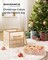Plastic Christmas Ornament Storage Box, Christmas Ball Organizer, Holds 64 Balls up to 3-Inch, Removable Dividers, Sandy Gold URFB029A03